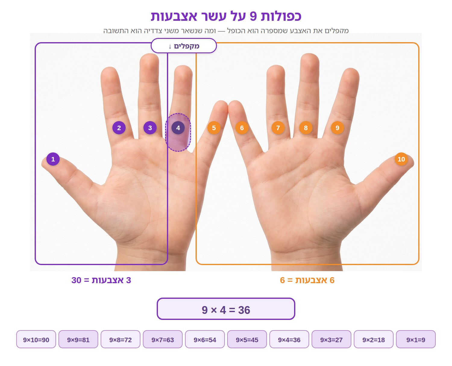 צילום של שתי כפות ידיים עם עשר אצבעות ממוספרות, האצבע הרביעית מסומנת לקיפול, שלוש אצבעות משמאל ושש מימין: 9 כפול 4 שווה 36