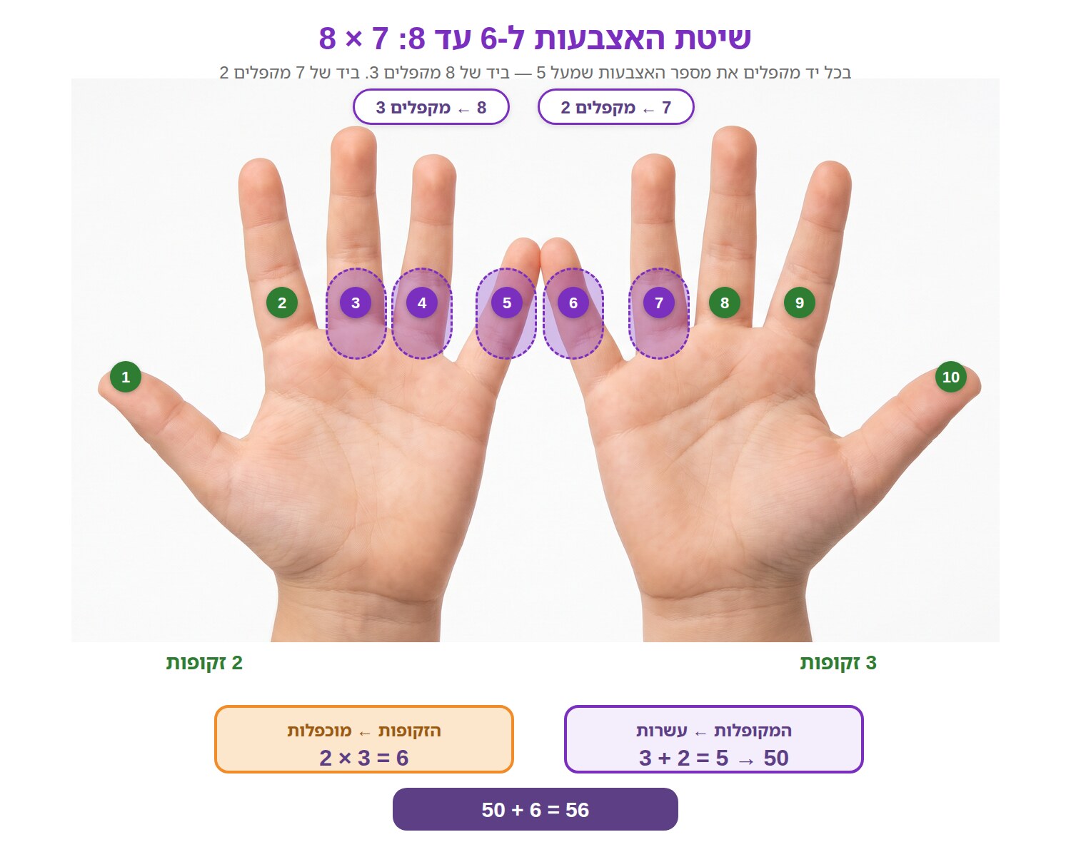 שתי כפות ידיים של ילד: ביד של 8 מקופלות שלוש אצבעות וביד של 7 שתיים, והחישוב 50 ועוד 6 שווה 56